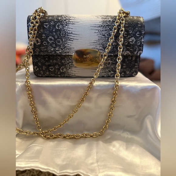 NWOT Coach Ombré Snakeskin Bag - Picture 9 of 13